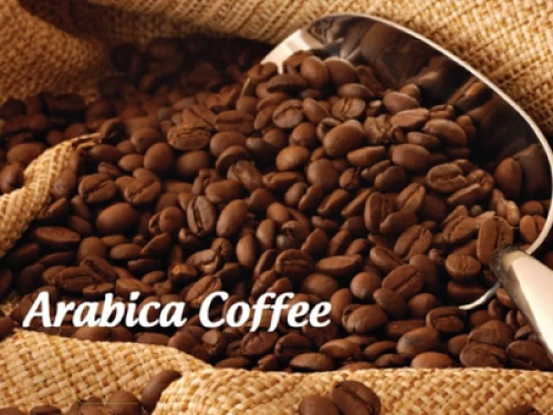 Cà phê Arabica