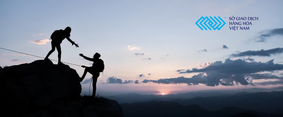 CHIẾN LƯỢC GIAO DỊCH THÔNG MINH CÙNG SFV