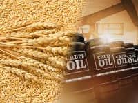 MXV-Index giằng co vùng 2.700 điểm, giá hàng hóa tiếp tục biến động