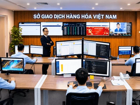 Nhịp đập thị trường hàng hóa tháng 8/2026