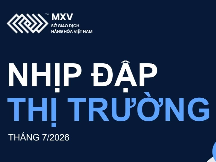 Thị trường hàng hóa tháng 7/2026: Năng lượng tăng mạnh, dòng tiền dịch chuyển sang nông sản