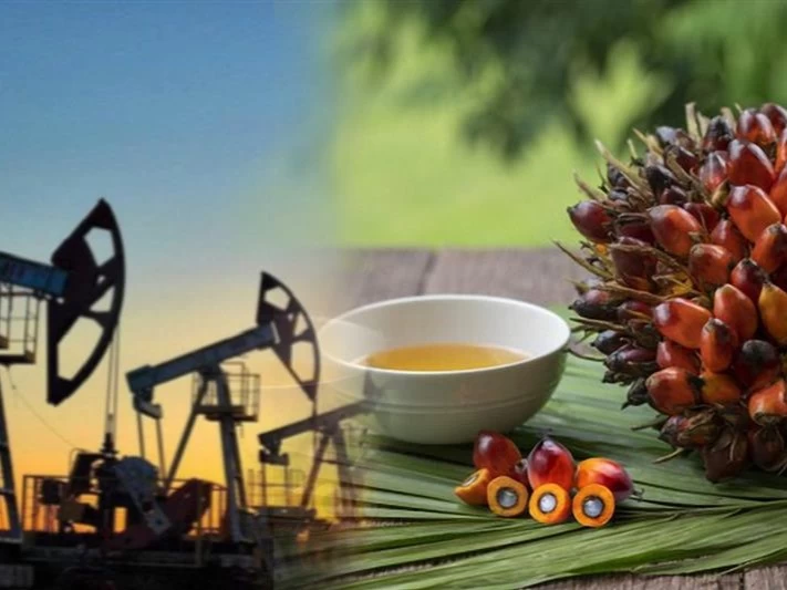 Thị trường năng lượng ‘bùng nổ’, MXV-Index vượt 2.800 điểm